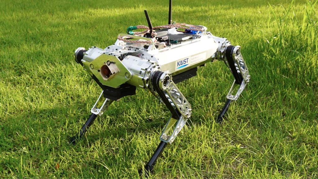 WhiteRhino’s Record-Breaking 100-Meter Dash: A Leap Forward in Quadrupedal Robotics